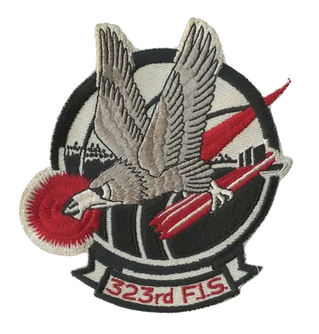 323rd F.I.S. patch