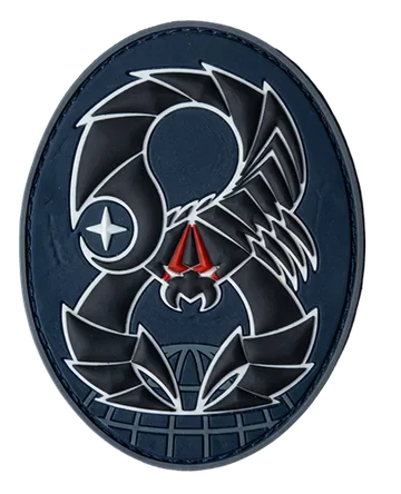 8th Combat Training Squadron patch