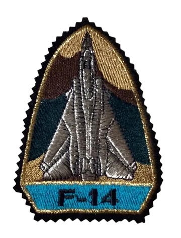 F-14 Tomcat patch